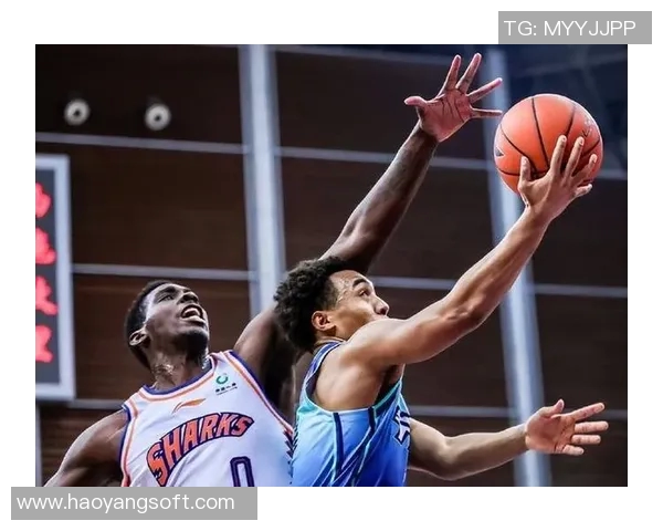 上海排球队战术变革引发热议助力球队重返巅峰之路