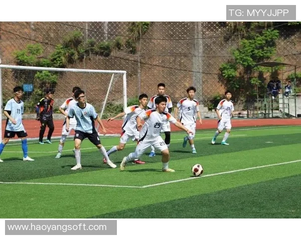 恩施足球明星盘点及其在国内外赛场的精彩表现与成就分析