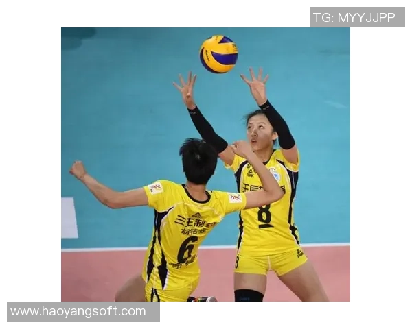 武汉排球队总决赛耐力展现精彩表现引发热议与期待